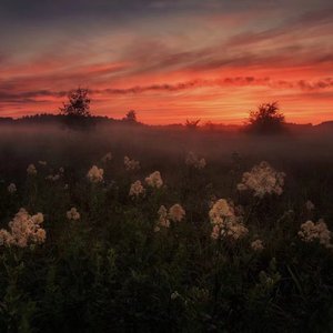 柳菁菁专辑萃高清图片欣赏
