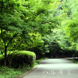 柳菁菁专辑萃高清图片欣赏
